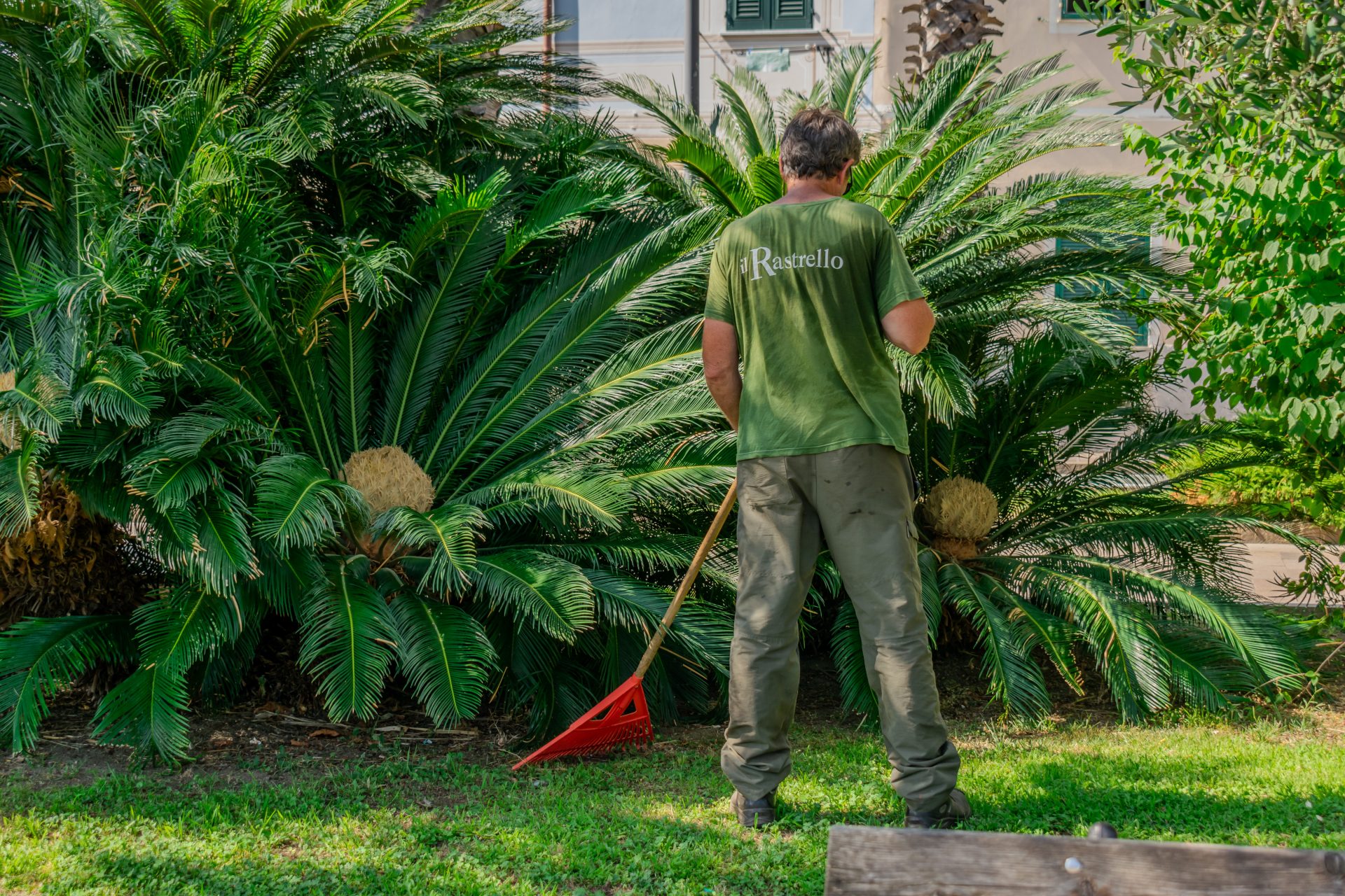 manutenzione del verde