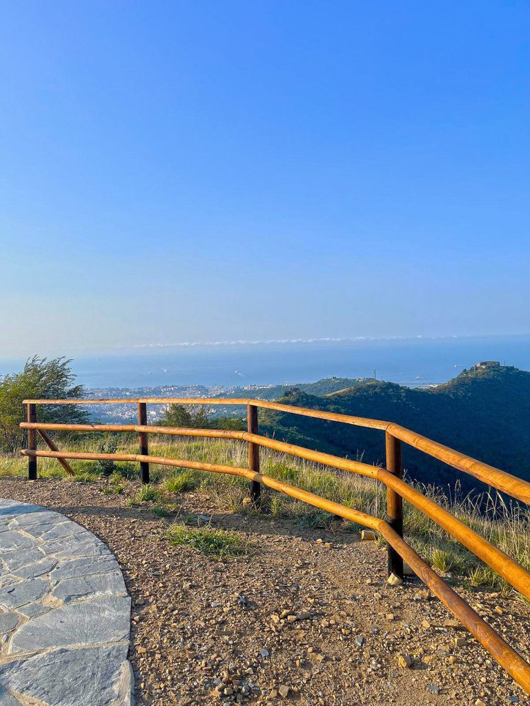 ingegneria naturalistica